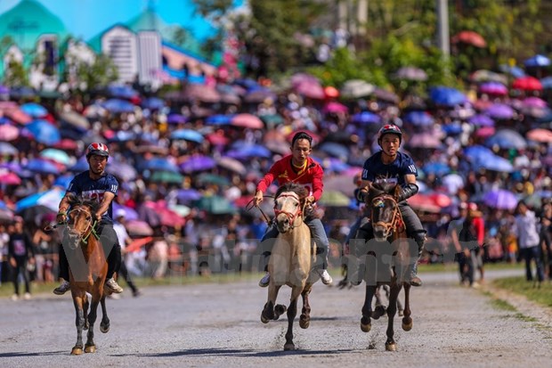 组图：2020年北河传统赛马节吸引了老街省众多骑手携骏马参赛 hinh anh 12