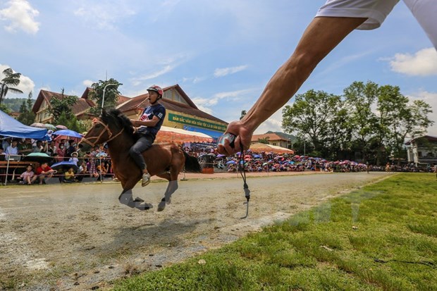 组图：2020年北河传统赛马节吸引了老街省众多骑手携骏马参赛 hinh anh 14