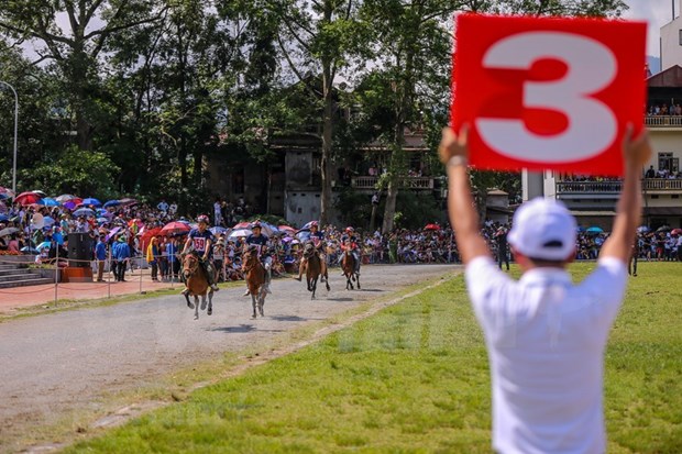 组图：2020年北河传统赛马节吸引了老街省众多骑手携骏马参赛 hinh anh 15