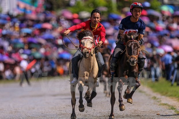 组图：2020年北河传统赛马节吸引了老街省众多骑手携骏马参赛 hinh anh 16
