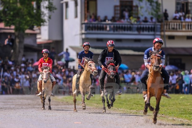组图：2020年北河传统赛马节吸引了老街省众多骑手携骏马参赛 hinh anh 18