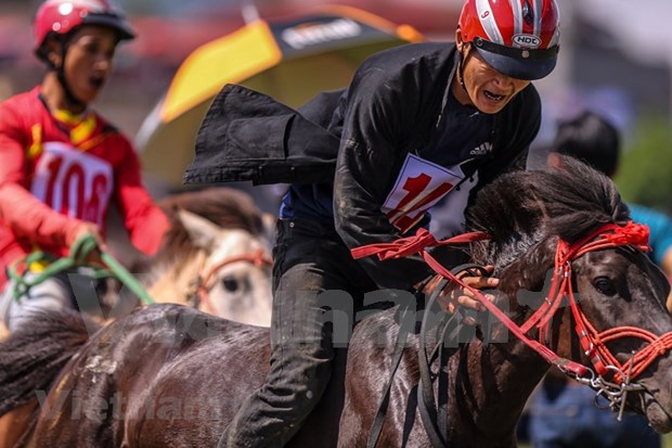 组图：2020年北河传统赛马节吸引了老街省众多骑手携骏马参赛 hinh anh 19