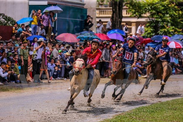 组图：2020年北河传统赛马节吸引了老街省众多骑手携骏马参赛 hinh anh 20