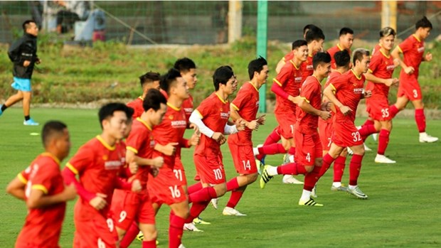 越南足球队将于5月31日在阿联酋与约旦队进行友谊赛 hinh anh 1