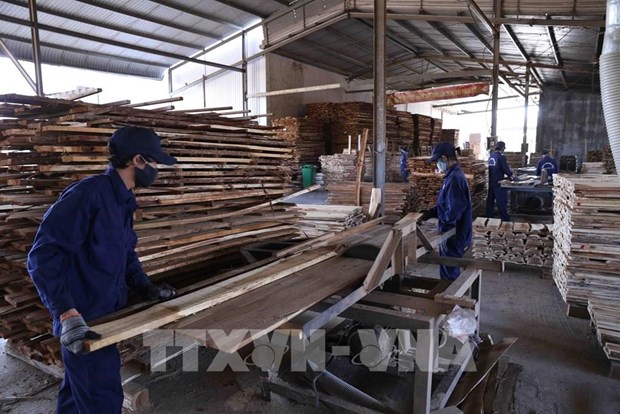 多措并举 促进富寿省木材加工业可持续发展 hinh anh 1