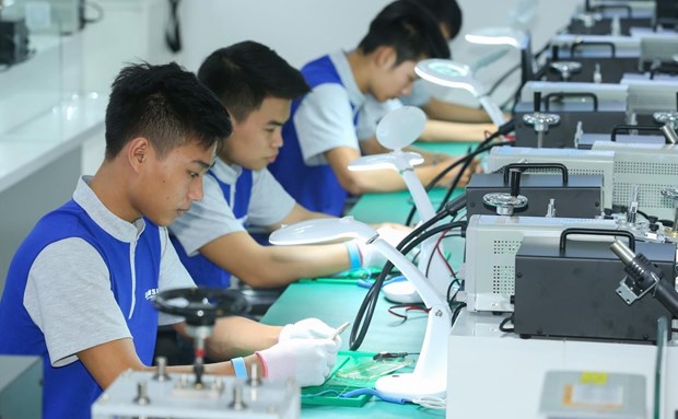越南将职业教育改革与数字化转型相结合 hinh anh 1