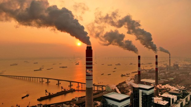 越南面向碳信用市场 hinh anh 1
