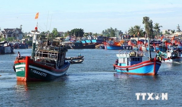 渔港基础设施投资：渔业可持续发展的动力 hinh anh 2