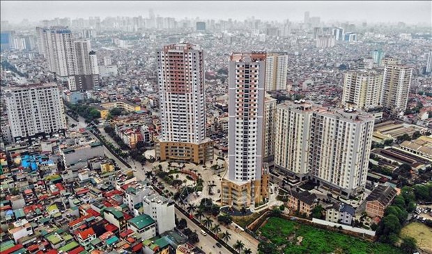 越南80%的房地产交易所恢复正常运营 hinh anh 1