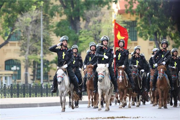 组图：越南机动警察骑兵队正式亮相 hinh anh 10