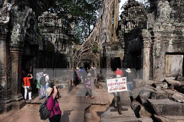 越南旅游占旅柬埔寨国际游客总数的20% hinh anh 1
