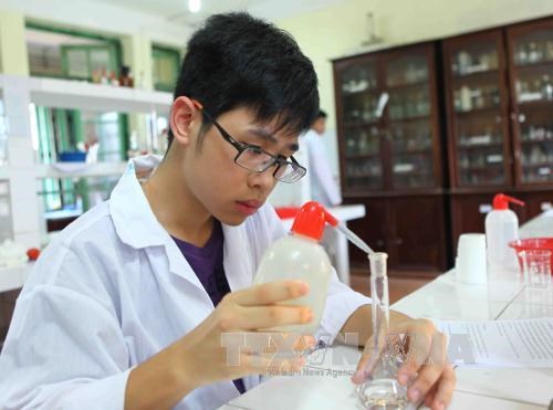 越南四名学生获得第47届国际化学奥林匹克竞赛奖牌 hinh anh 1