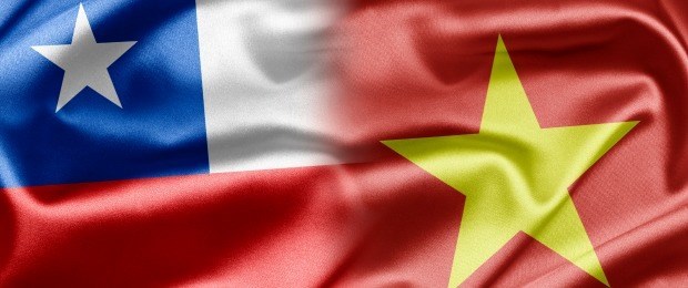 越南与智利加强交流活动 hinh anh 1