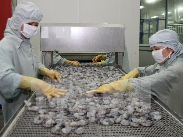 2015年越南虾类出口额可能仅达35亿美元左右 hinh anh 1