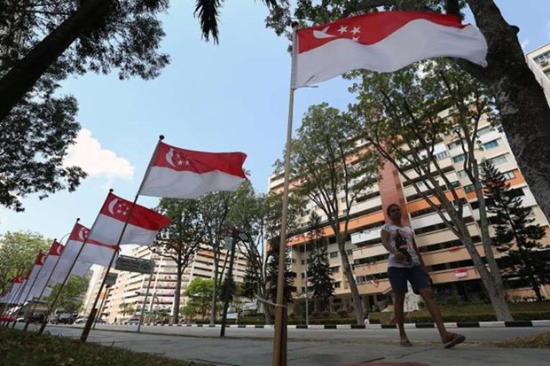新加坡大选投票开始246万多名选民参与投票 hinh anh 1
