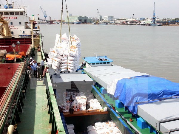 越南赢得菲律宾45万吨大米供应合同 hinh anh 1