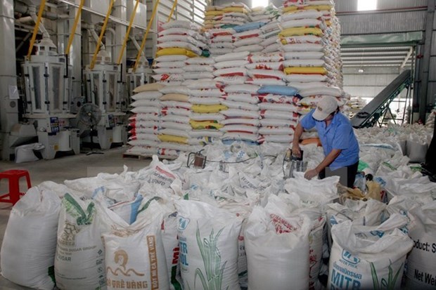 2015年全年水稻产量达4500万吨 hinh anh 1