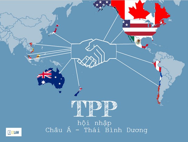 《跨太平洋伙伴关系协定》：历史性的协定 hinh anh 1