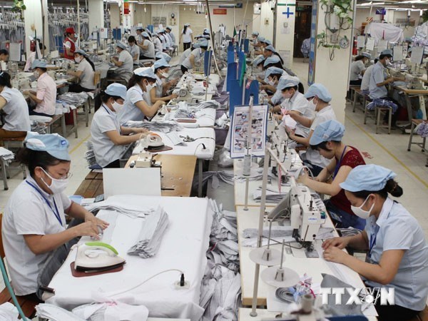 越南预计迈入纺织品服装与鞋类的出口热潮阶段 hinh anh 1