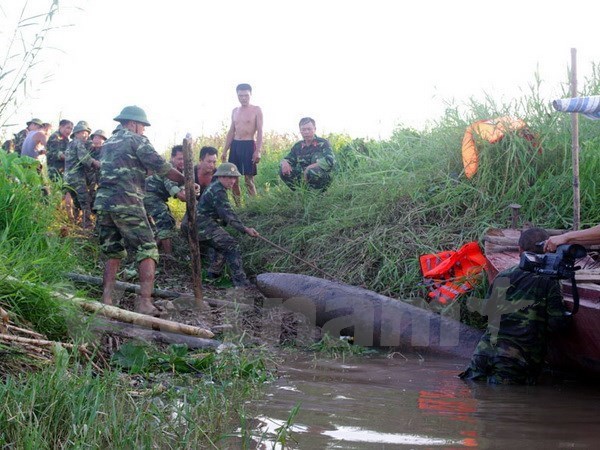 清化省渔民发现一颗400公斤重的炸弹 hinh anh 1