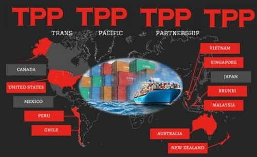 TPP为越南企业增长的助推器 hinh anh 1