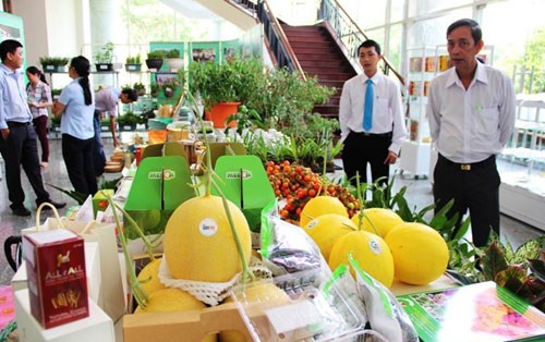 2015年越南农业节吸引250个单位参加 hinh anh 1