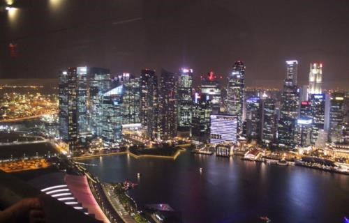 世行将把设在新加坡的办事处扩充为世行在全球第一个基础设施与城市发展中心 hinh anh 1