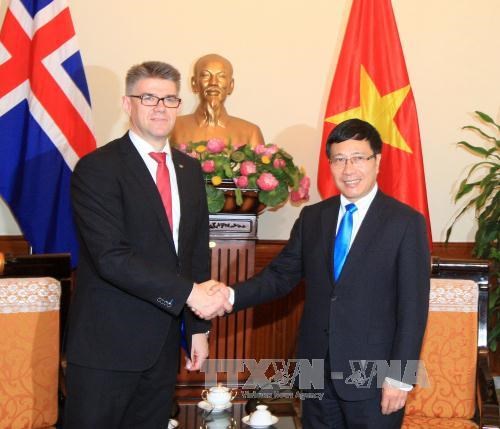越南政府副总理兼外长范平明会见比利时参议长和冰岛外交兼外贸部长 hinh anh 2
