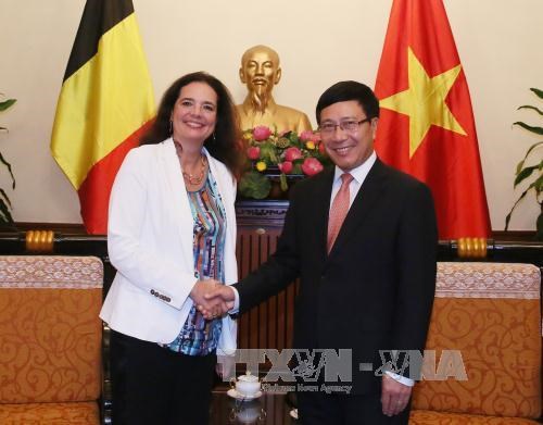越南政府副总理兼外长范平明会见比利时参议长和冰岛外交兼外贸部长 hinh anh 1