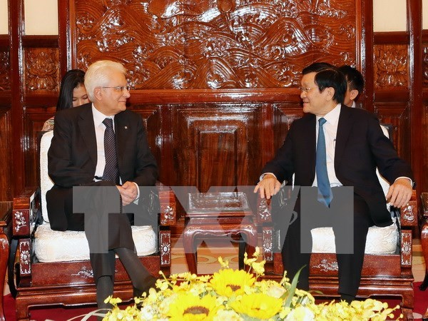 越南国家主席张晋创同意大利总统塞尔焦•马塔雷拉举行会谈 hinh anh 1