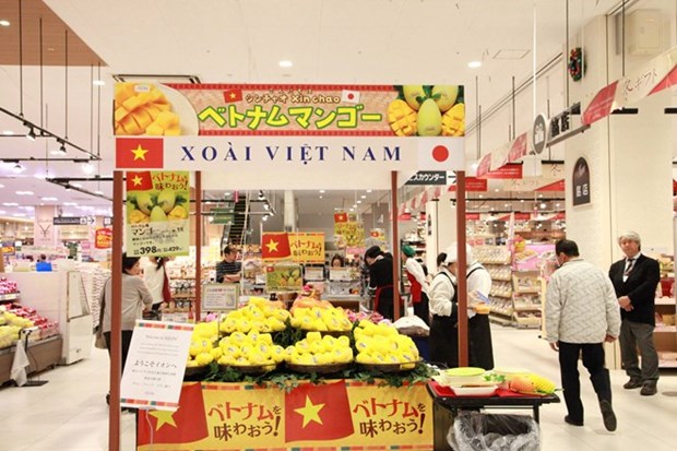 越南芒果正式在日本超市上架出售 hinh anh 1
