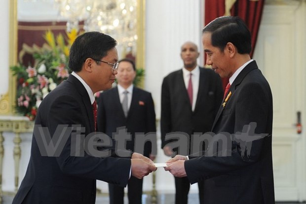 印尼总统佐科·维多多：印尼希望与越南加强战略伙伴关系 hinh anh 1