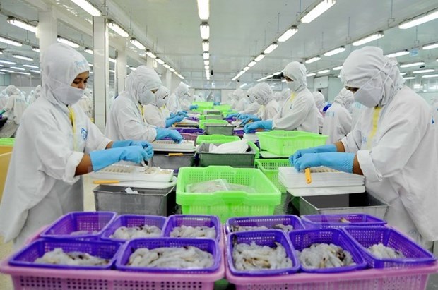 越南虾类产品对美国市场出口前景广阔 hinh anh 1