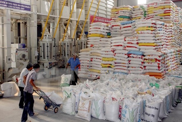 越南和泰国产的5万吨大米将于2016年初抵达印尼港口 hinh anh 1