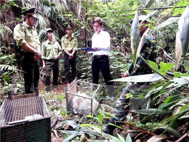 越南将承办有关打击野生动物非法交易第三次会议 hinh anh 1
