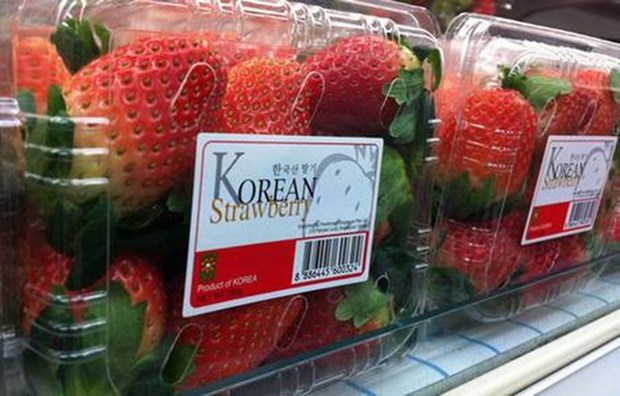 韩国新鲜草莓获准对越南出口 hinh anh 1