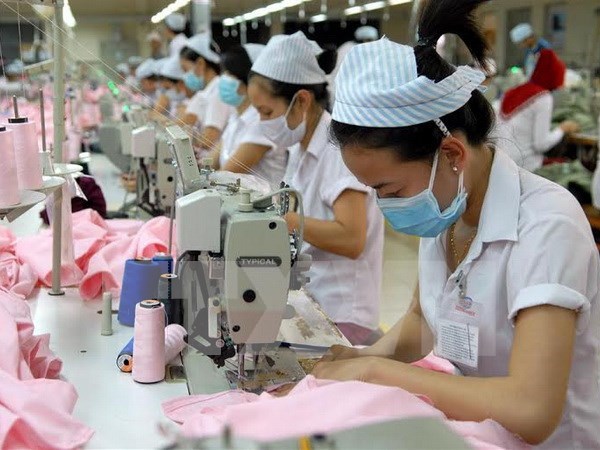 美国企业加大对越南纺织服装业投资力度 hinh anh 1