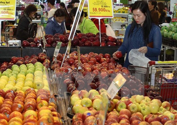 澳大利亚呼吁该国食品出口商加大对越南市场出口力度 hinh anh 1