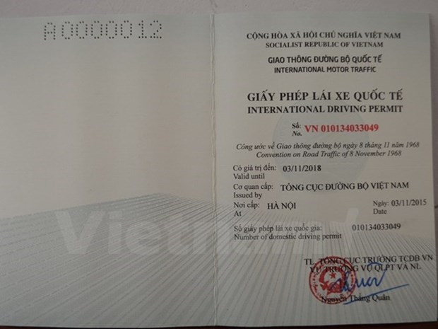 河内市和胡志明市正式签发国际汽车驾驶证 hinh anh 1