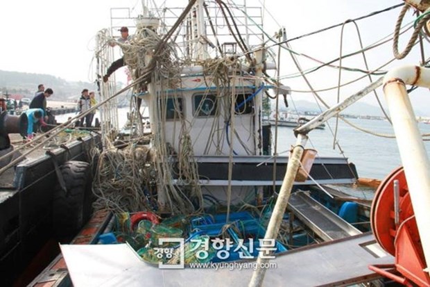 韩国失事渔船上发现一具越南船员尸体 hinh anh 1
