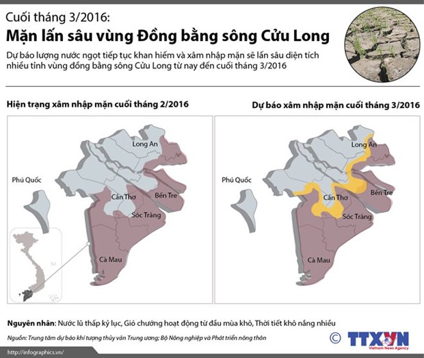 越南政府总理对九龙江三角洲海水入侵紧急应对措施做出批示 hinh anh 2