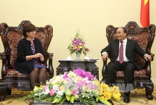 越南政府副总理阮春福会见日本和比利时驻越大使 hinh anh 2