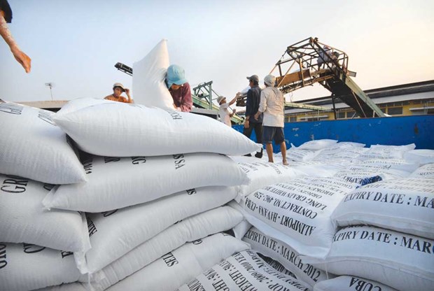 2016年第一季度芹苴市大米和水产品出口额猛增 hinh anh 1