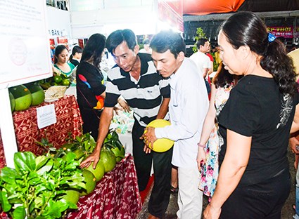 2016年农业与渔业展吸引南部22个省市参展 hinh anh 1