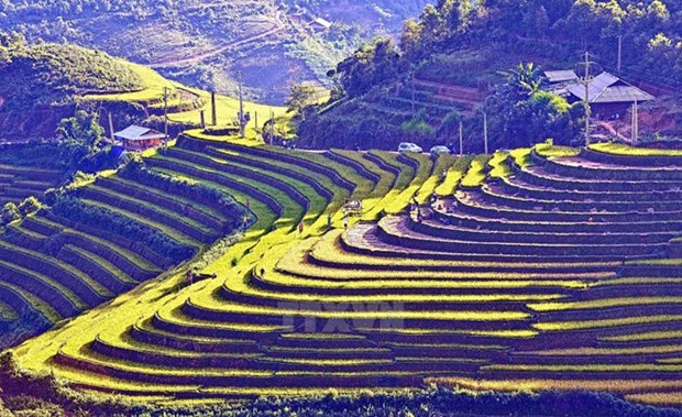 越南西北地区各省份为2017年国家旅游年作出积极准备 hinh anh 1