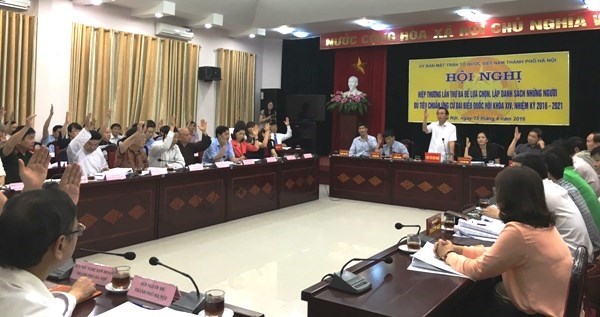 越南各地选择达标的国会代表和人民议会代表候选人 hinh anh 1