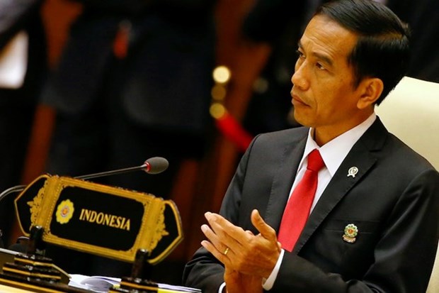 印尼总统访德 促进双边关系 hinh anh 1