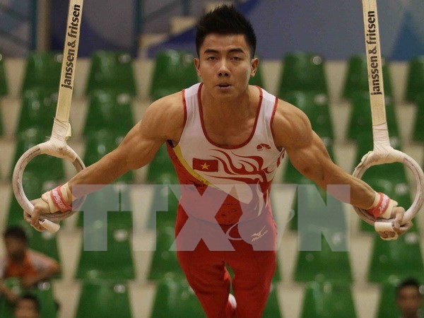 越南已有13名运动员获得2016年里约奥运会入场券 hinh anh 1