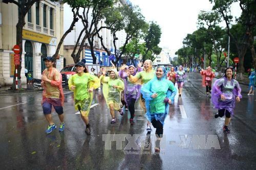 越通社工作人员积极参加“2016年为绿色生活跑步”活动 hinh anh 2