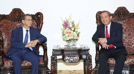 越南政府副总理张和平会见日本驻越南大使大岛浩 hinh anh 1